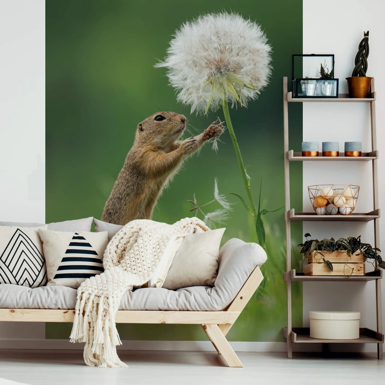 Fototapete van Duijn - Erdhörnchen mit Pusteblume - 192x260 cm 