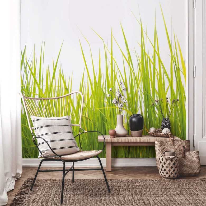 Papier peint photo Herbe haute 