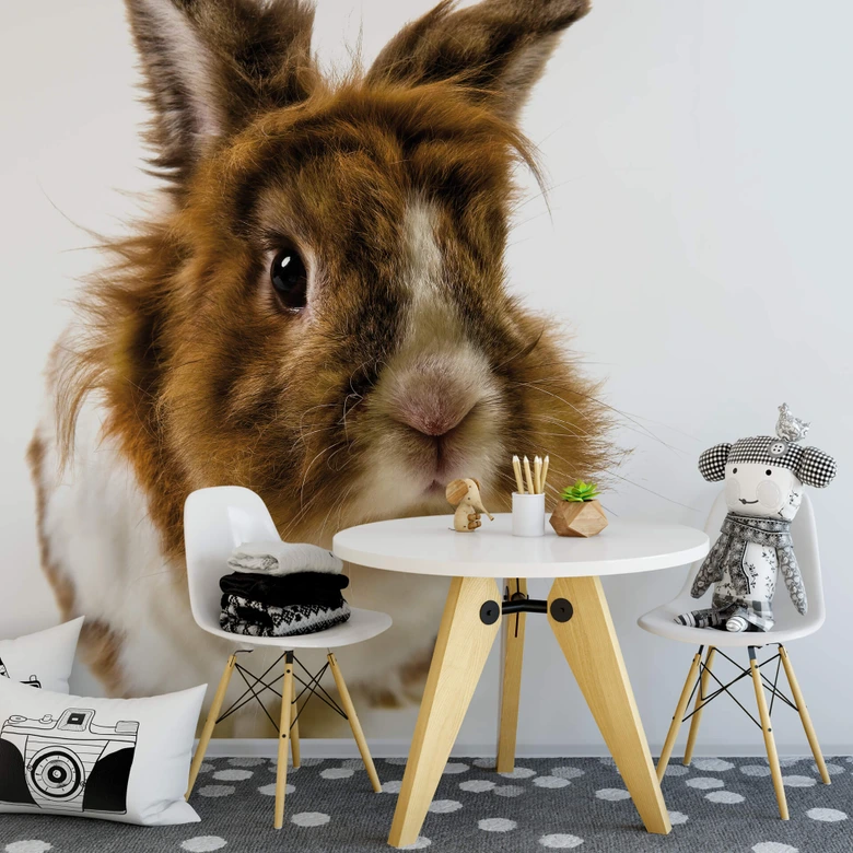 Rabbit - Wall Mural 