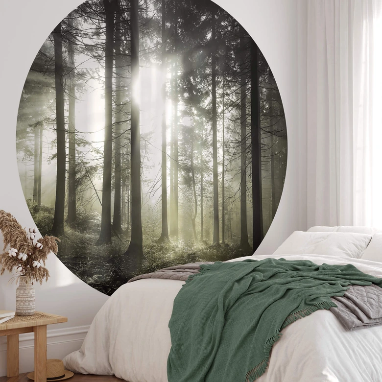 Behangcirkel Zonnestralen in het Bos - vliesbehang/zelfklevend vliesbehang 