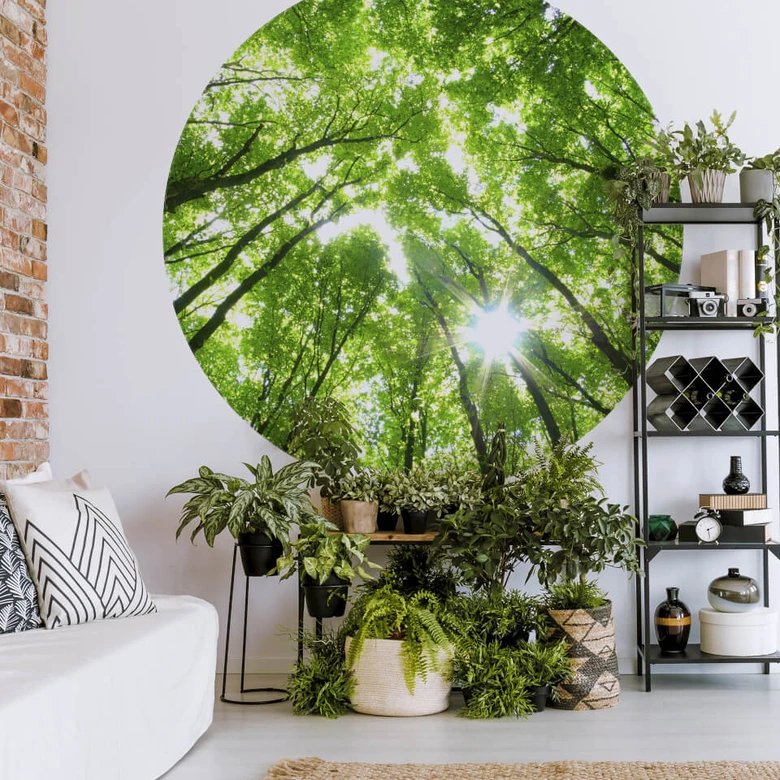 Round wall mural Tree Tops in the Forest - non self-adhesive/self-adhesive wallpapers 