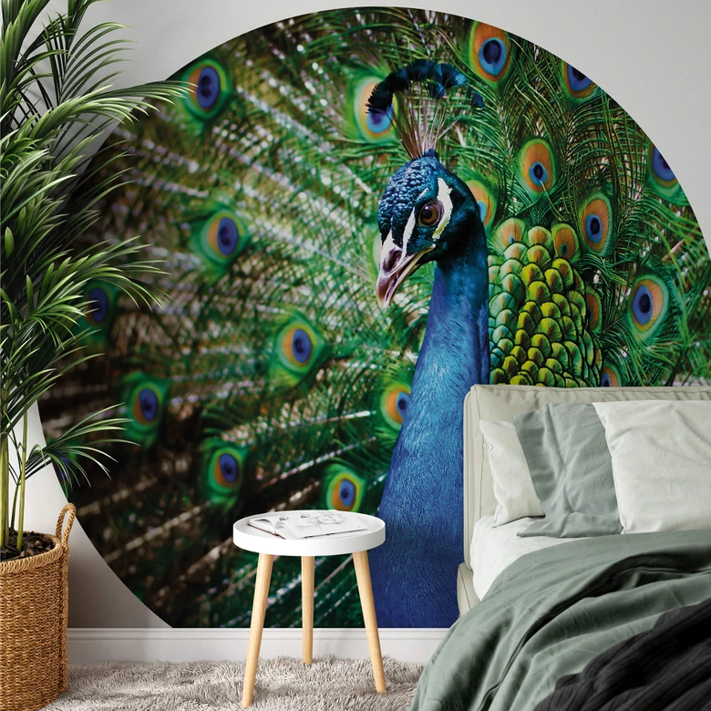 Fototapete Beautiful Peacock - Rund - Selbstklebend/Vlies 