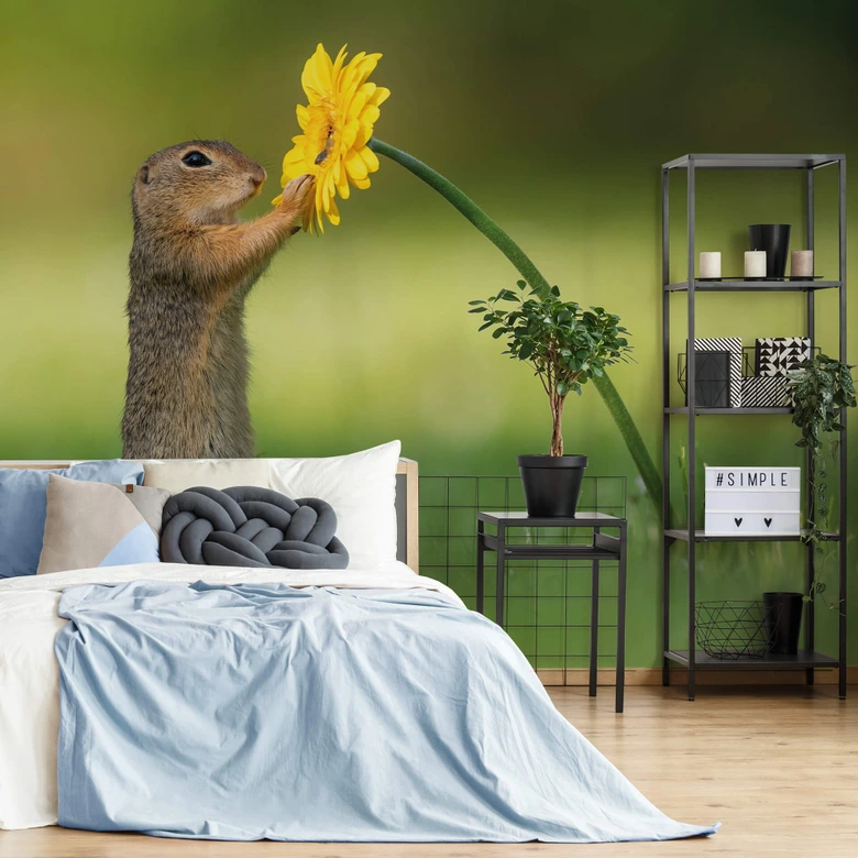 Papier peint photo van Duijn - Écureuil terrestre tenant une fleur 