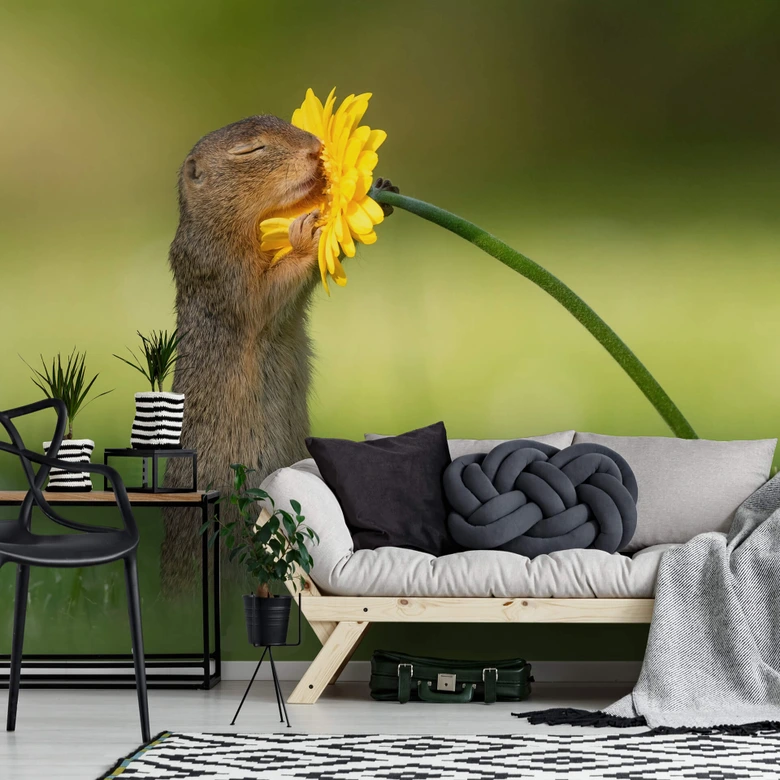 Wall Mural Dick van Duijn - Squirrel smelling Flower 
