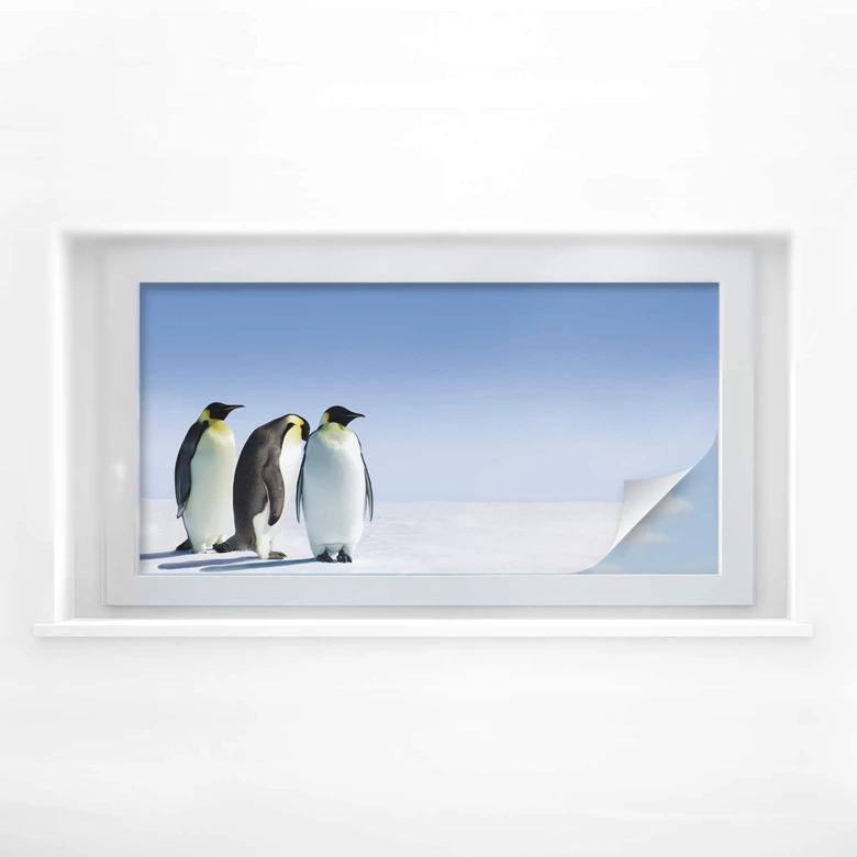 Sichtschutzfolie Penguin - Panorama 