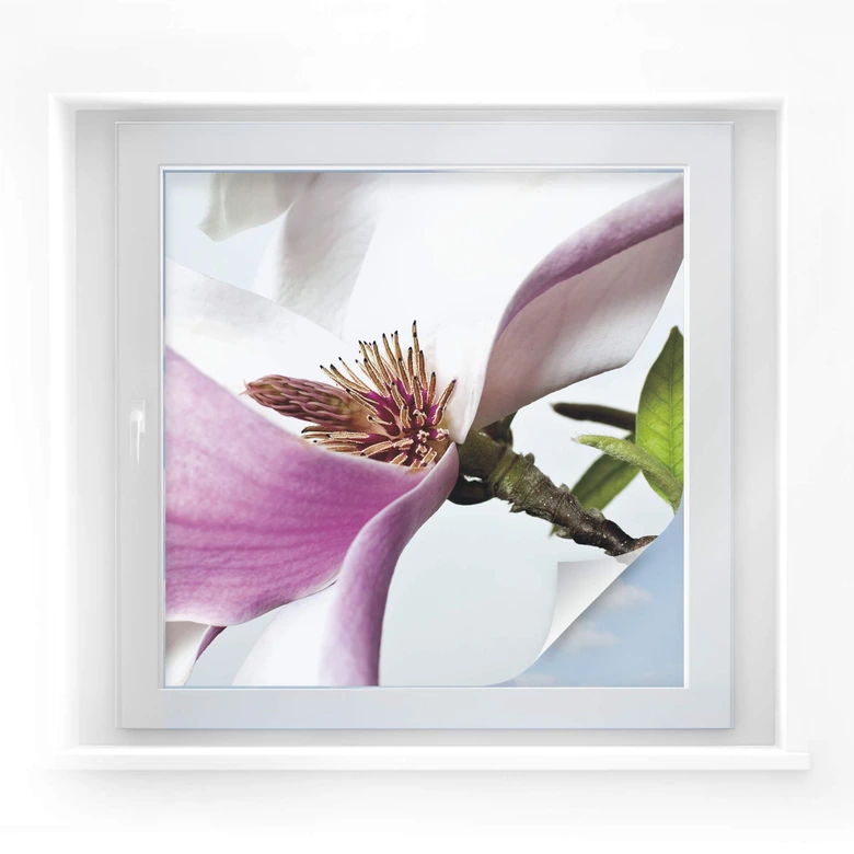 Sichtschutzfolie Magnolie - quadratisch 