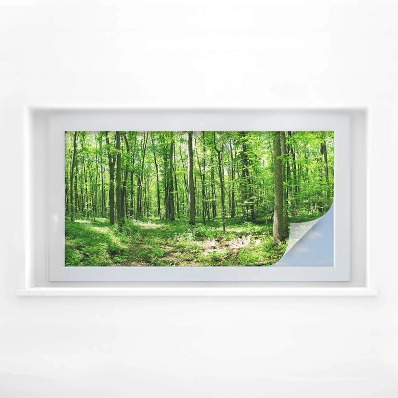 Sichtschutzfolie Waldpanorama - Panorama 