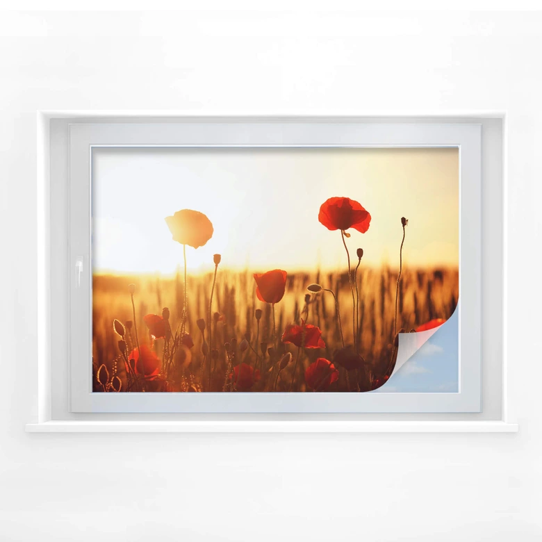 Window foil Sunny Poppies 
