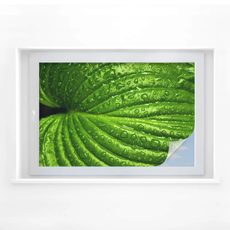 Sekretessfilm Efter regnet 