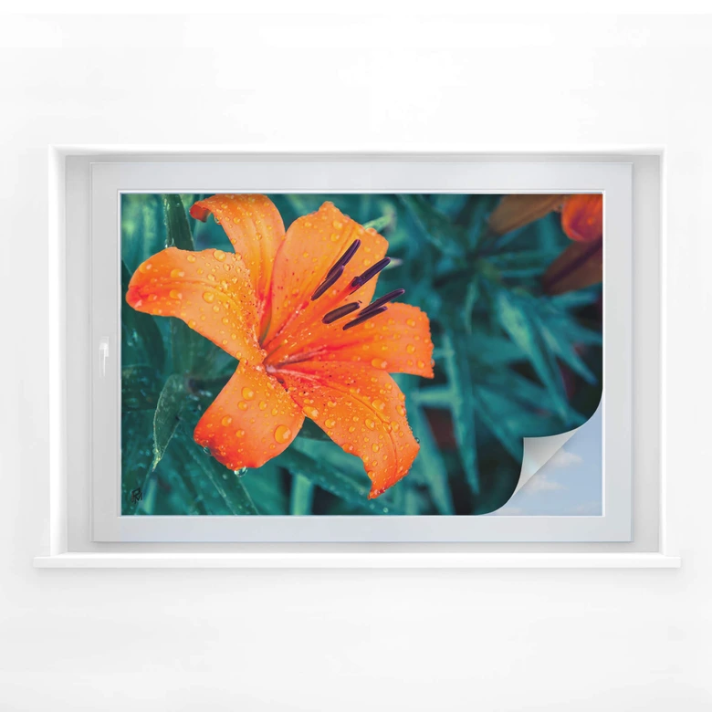 Raamfolie Tropical Lily 