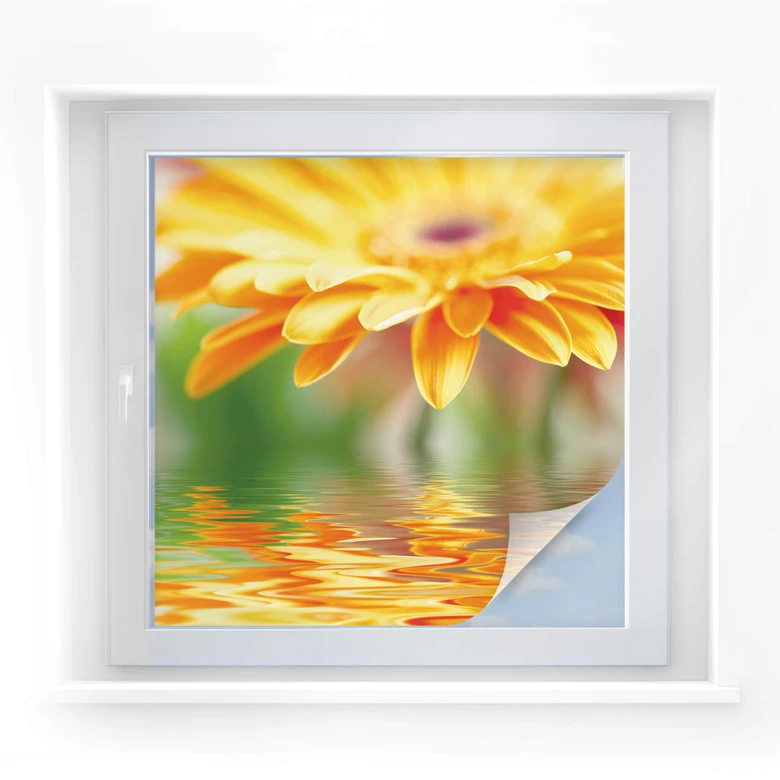 Lustrzana folia do ochrony prywatności Gerbera - kwadratowa 