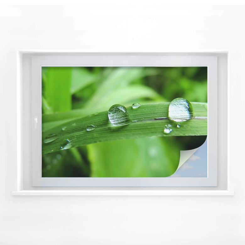 Película de privacidad nature 4 