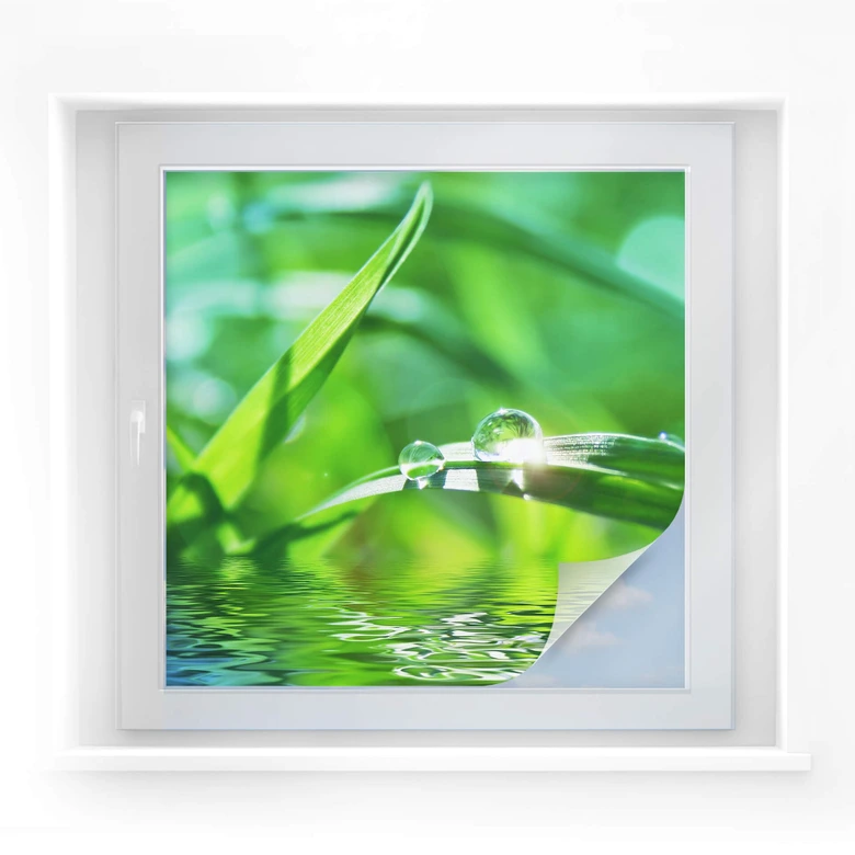 Window foil Nature 06 