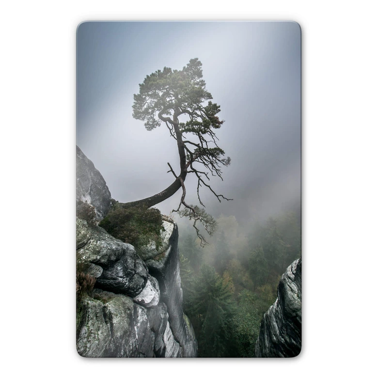Glasbild Wonisch - Kräfte der Natur 