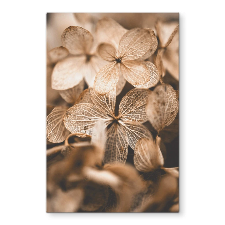Tableau sur verre Annie - Fleurs délicates 
