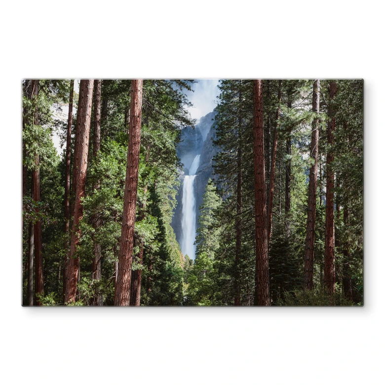 Glasschilderij Colombo - Waterfall Forest 