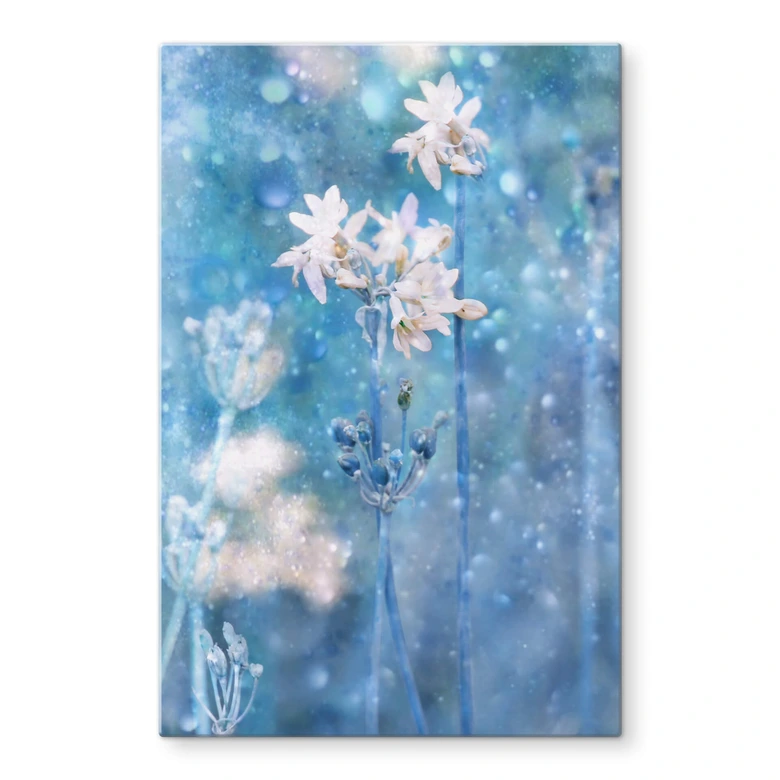 Glasbild Devos - Magie der Natur 