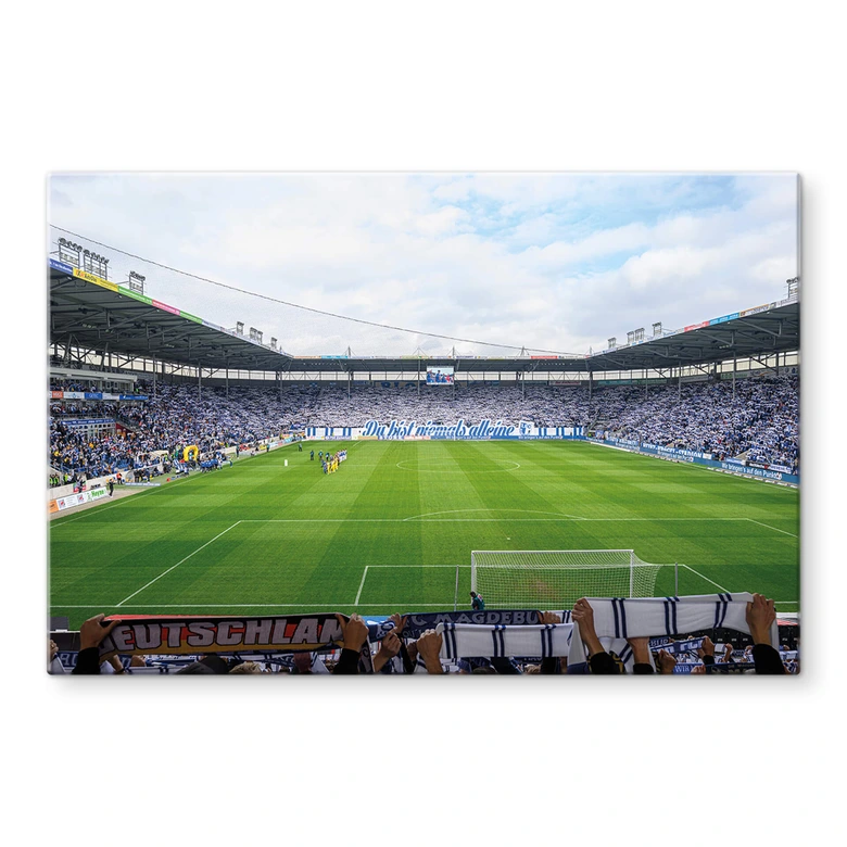 Glasbild 1. FC Magdeburg - Stadion Choreo 