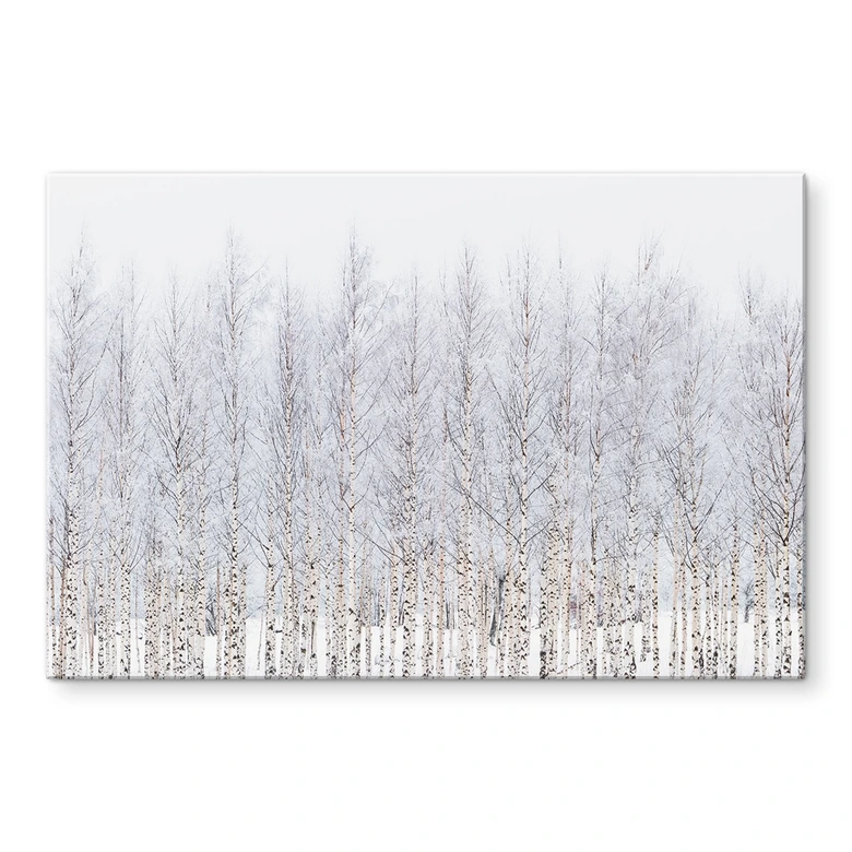 Glasbild Birkenwald im Winter - EMELIEmaria 