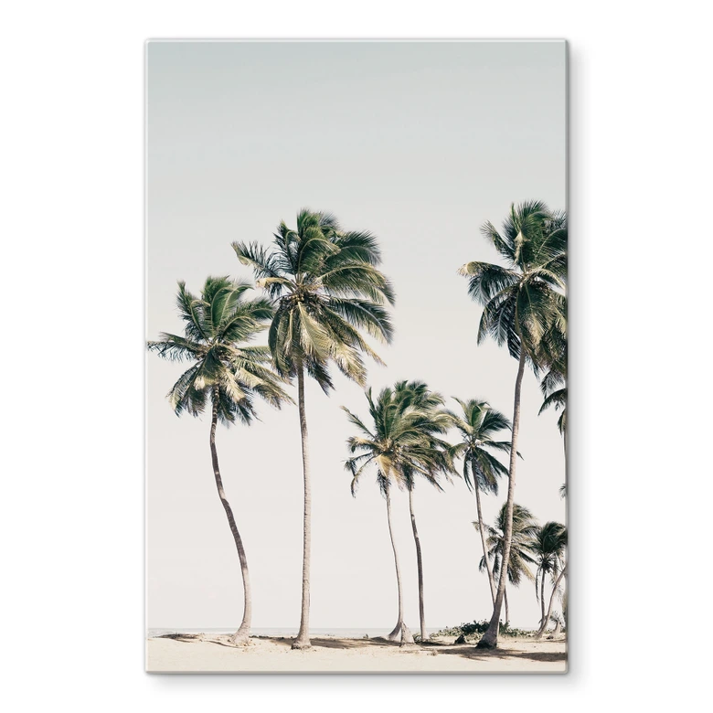 Glass Wall Art Tropical Palm Trees on the Beach - Sisi & Seb 