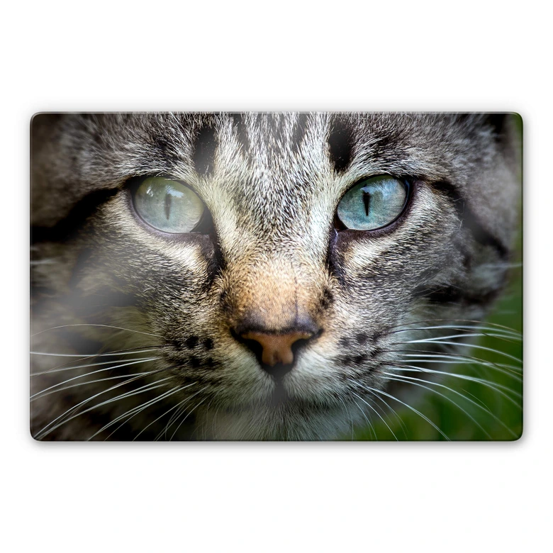 Glasbild Cuadrado - In your eyes 