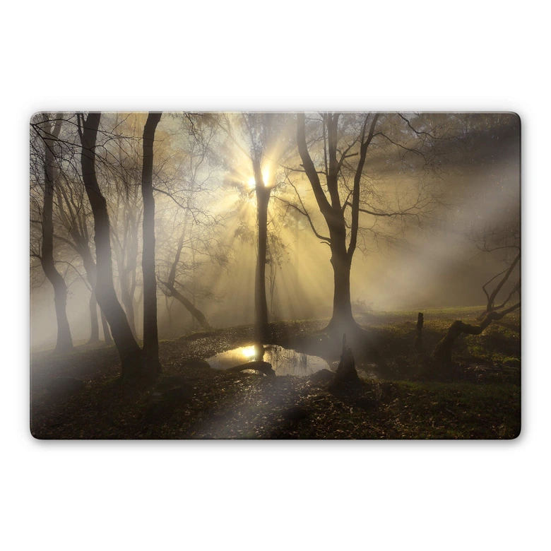Glasbild Cuadrado - Light 