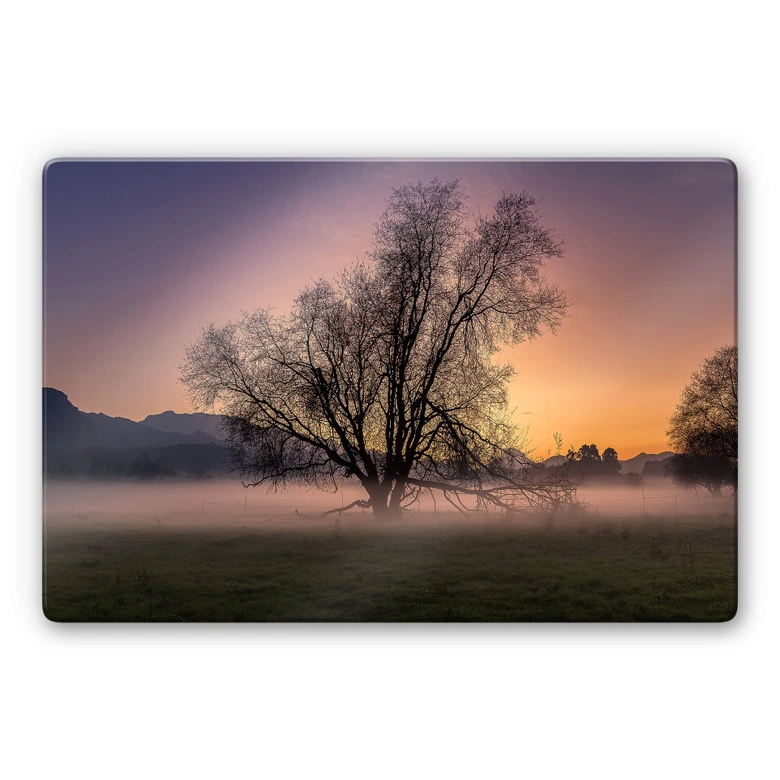 Glasbild Cuadrado - The Fog 