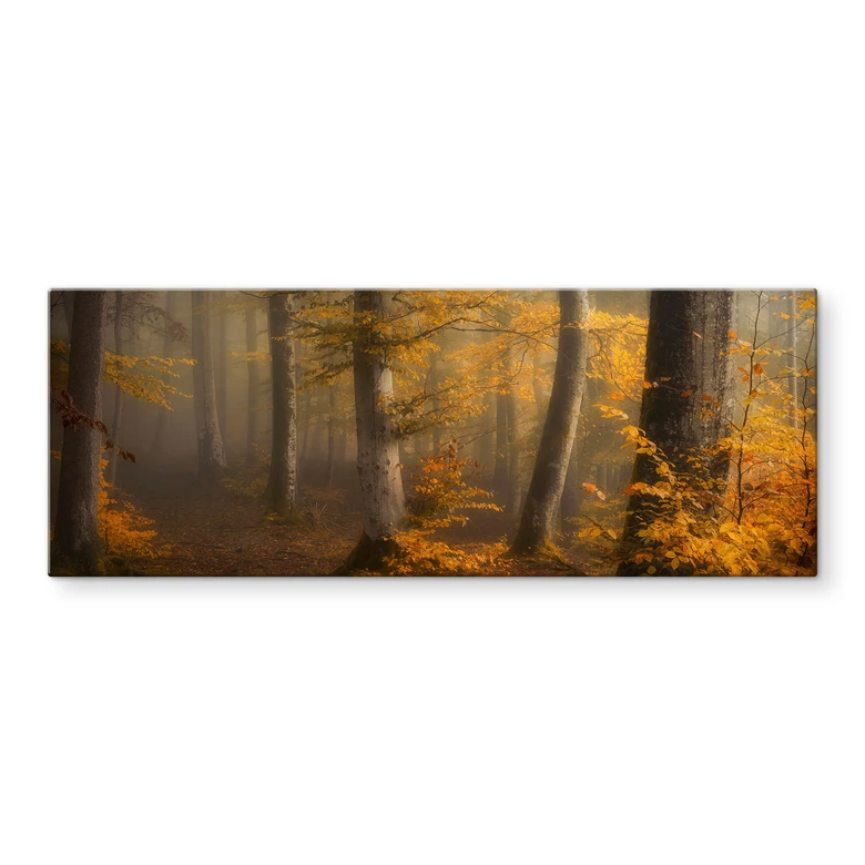 Tableau en verre Feuilles d'or dans la forêt brumeuse - Maier - Panorama 