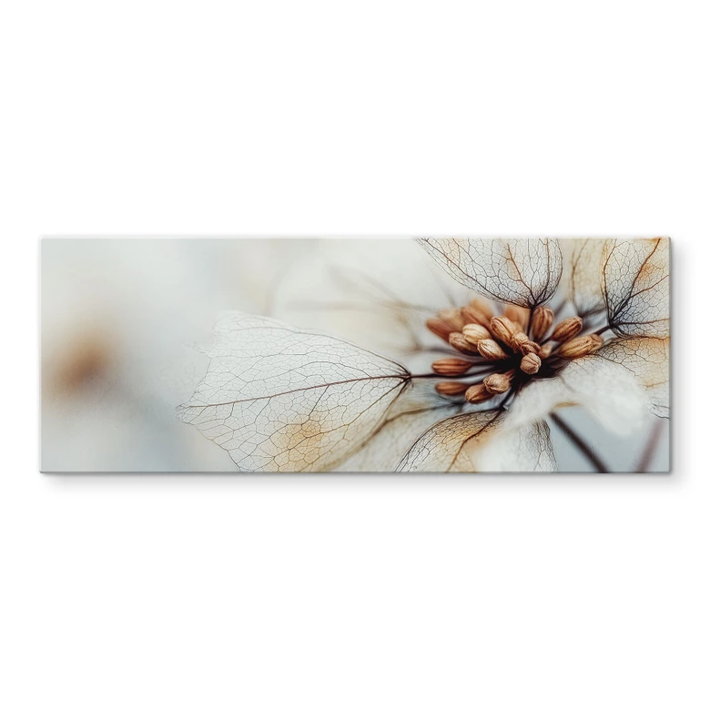 Tableau en verre Structure florale d'une fleur séchée - Treechild - Panorama 