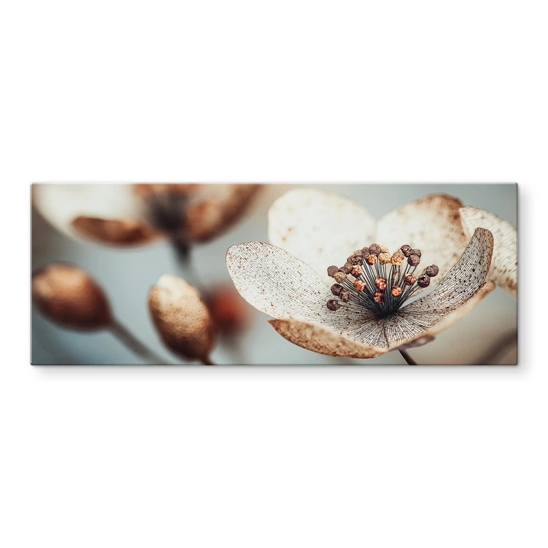 Tableau en verre Boho fleur séchée Macro | Photographie Naturelle - Treechild - Panorama 
