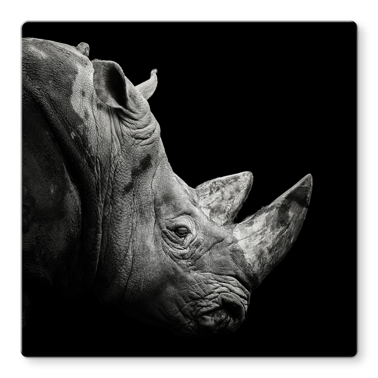 Tableau en verre Meermann - Le rhinocéros - Carré 