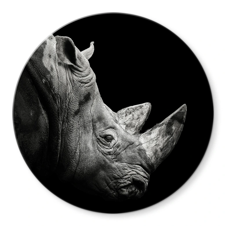 Glasbild Meermann - Das Nashorn - Rund 