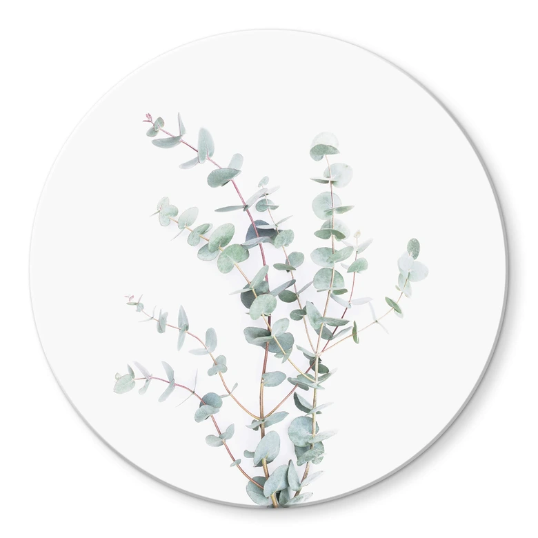 Tableau en verre Sisi & Seb - Branche d'Eucalyptus - Rond 