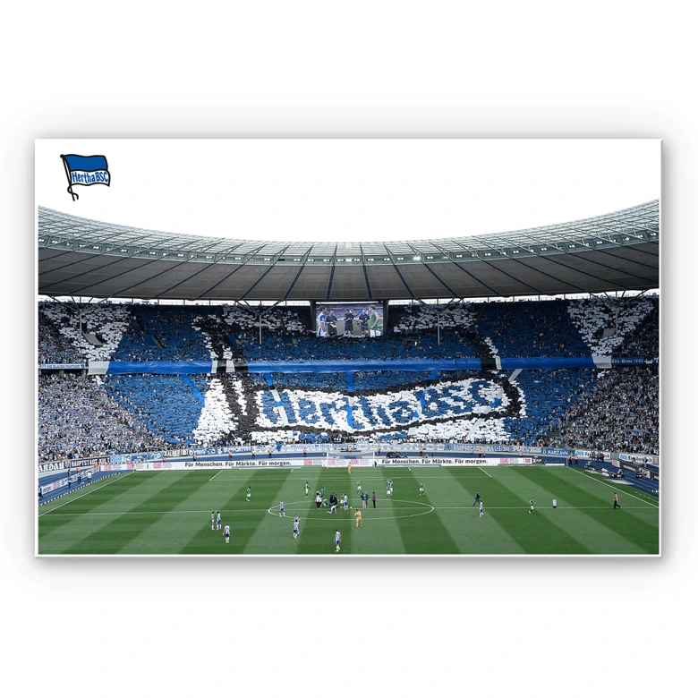 Leichtes Wandbild Hertha BSC - Spielstart im Stadion | mattes Finish 