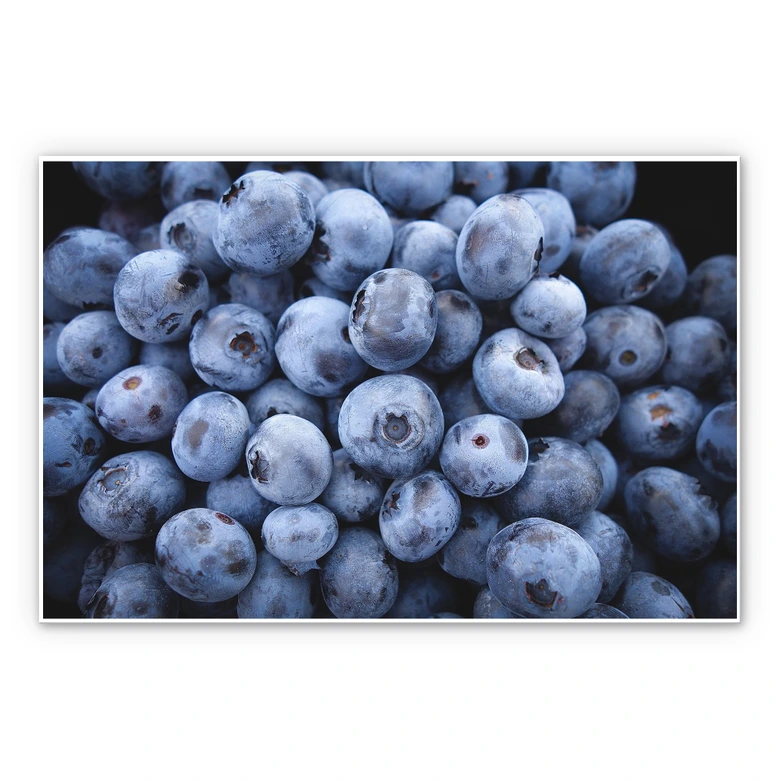 Wandbild Blaubeeren 