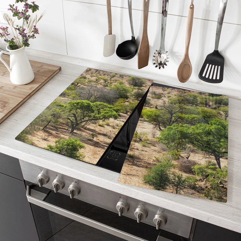 Stove cover plate savannah landscape in Africa - Hugonnard 