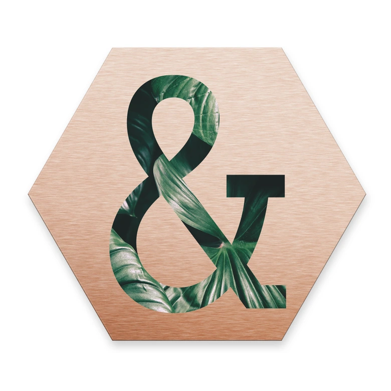 Hexagon Alu-Dibond Copper Deco-Letters Jungle &2 