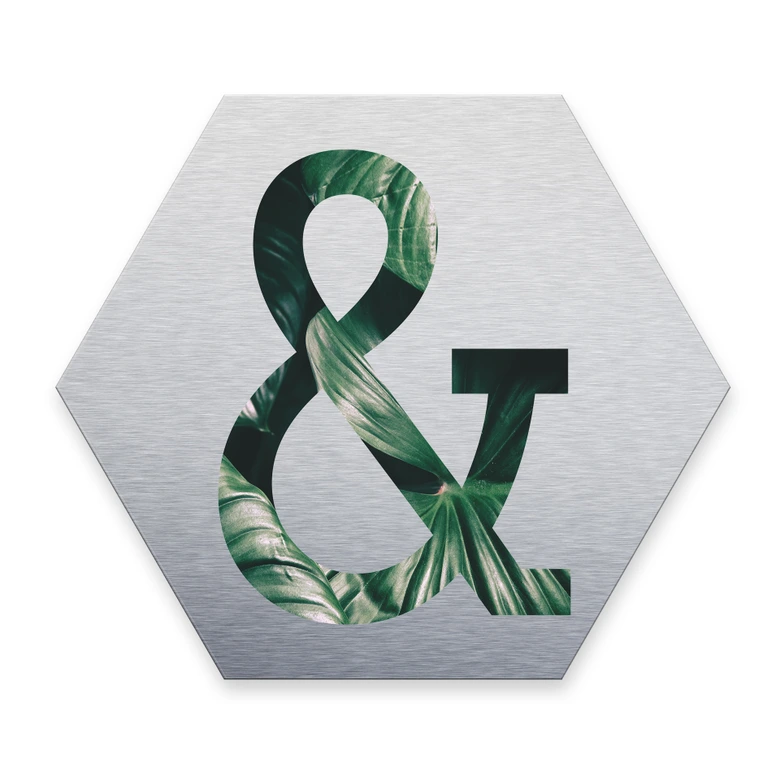 Hexagone - Alu-Dibond effet argenté - Urban Jungle Signe "Et" 02 