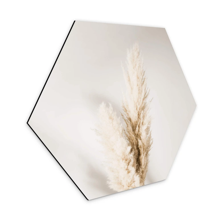 Hexagon Dibond 1X Studio - Gebonden Pampas 