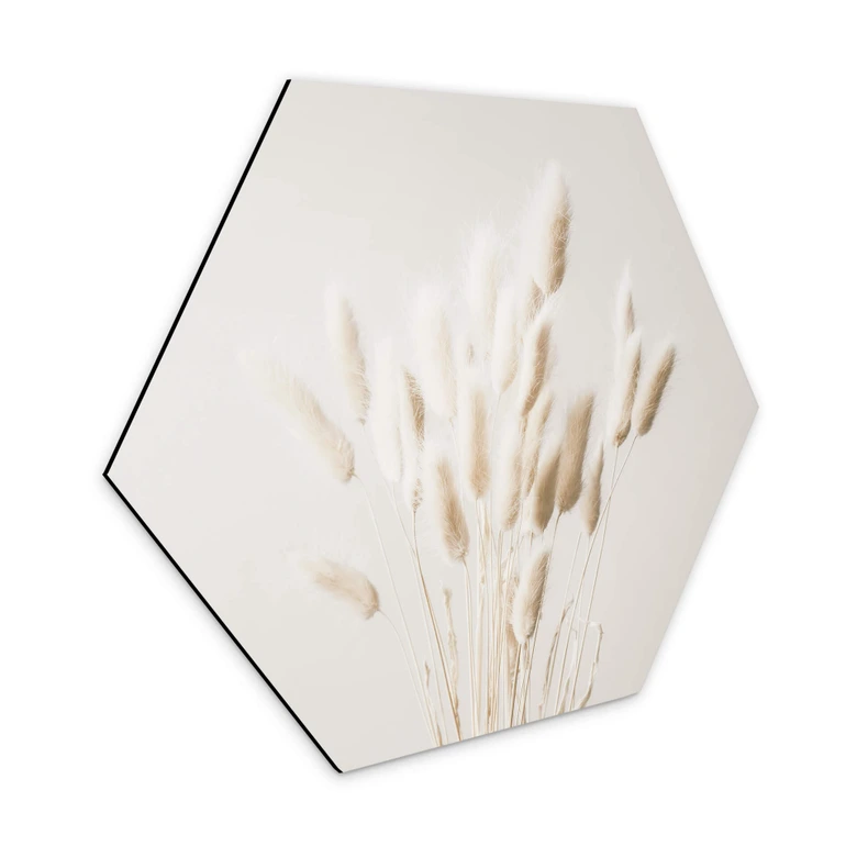 Hexagon - Alu-Dibond 1X Studio - Getrocknete Gräser 