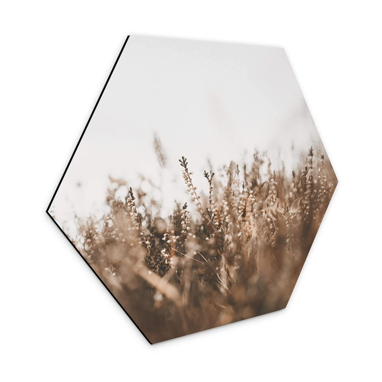 Hexagon - Alu-Dibond Annie - Wiesengräser 