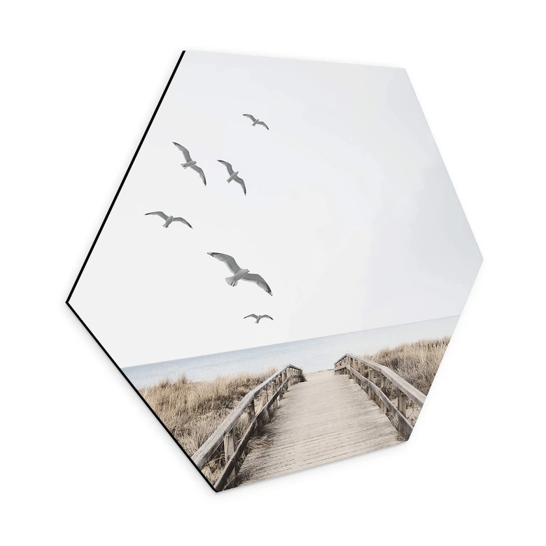 Hexagon Wandbild Blick auf die Ostsee - Alu-Dibond 