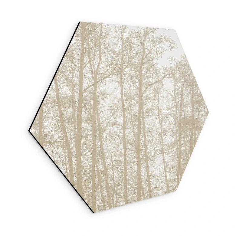 Hexagon Wandbild Stiller Winterwald - Böhmer - Alu-Dibond 
