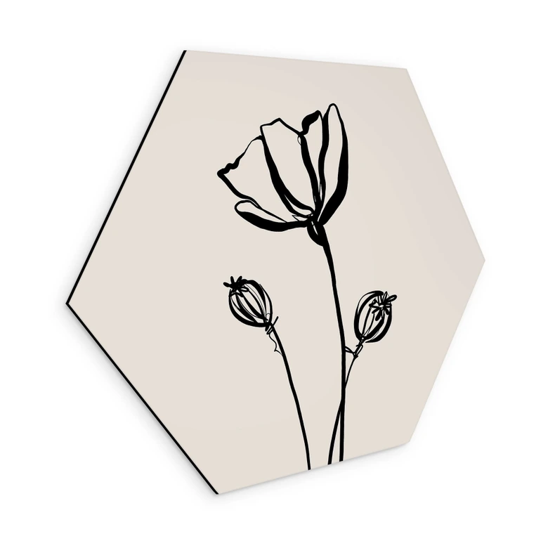 Hexagon Wandbild Line Art Mohnblume - Cats & Dotz - Alu-Dibond 