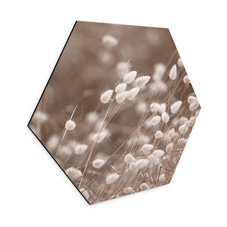 Hexagon Wandbild Zarte Gräser im Herbstlicht - Collins - Alu-Dibond 
