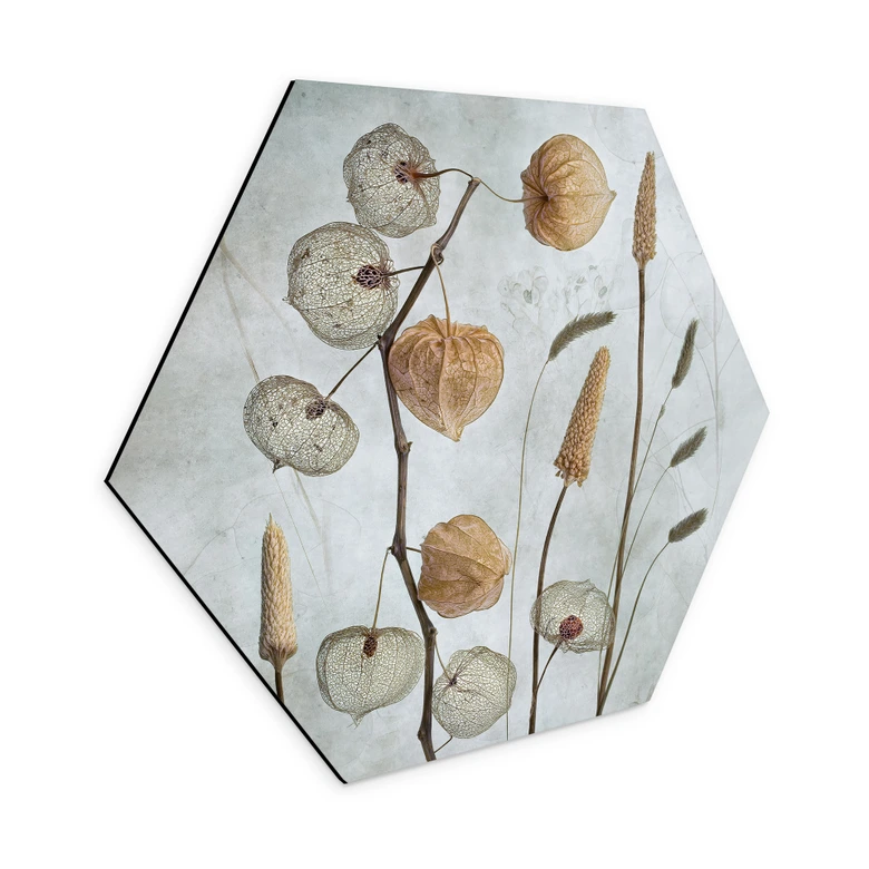 Hexagon Dibond Gedroogde lampionbloemen - Disher 