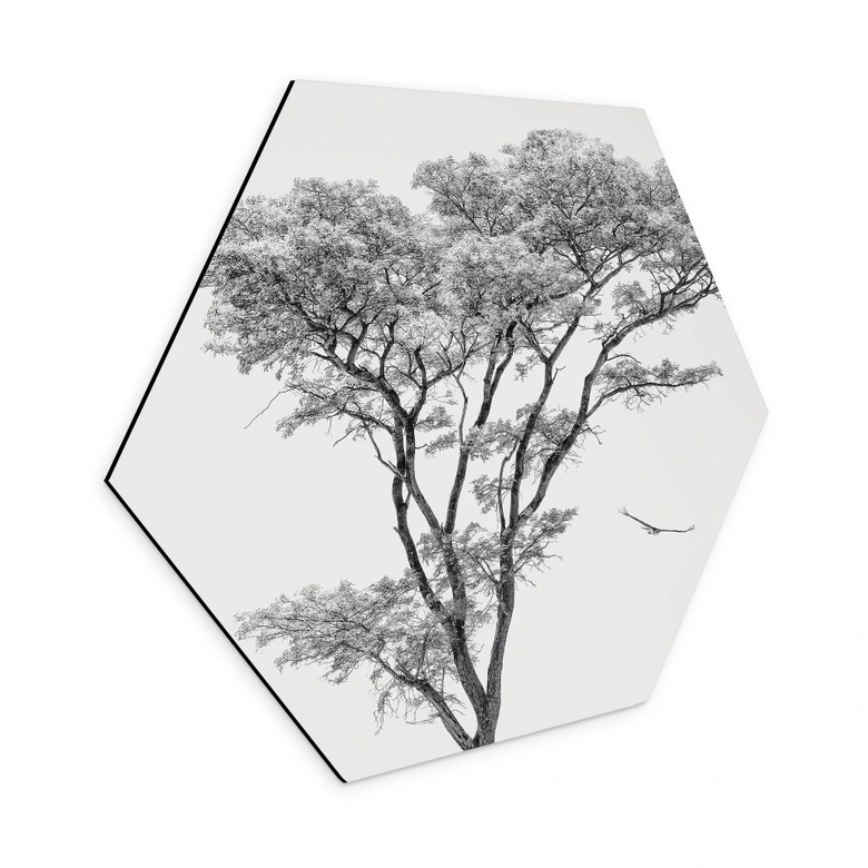 Hexagon Wandbild Minimalistischer Baum in ruhiger Landschaft - Flour - Alu-Dibond 