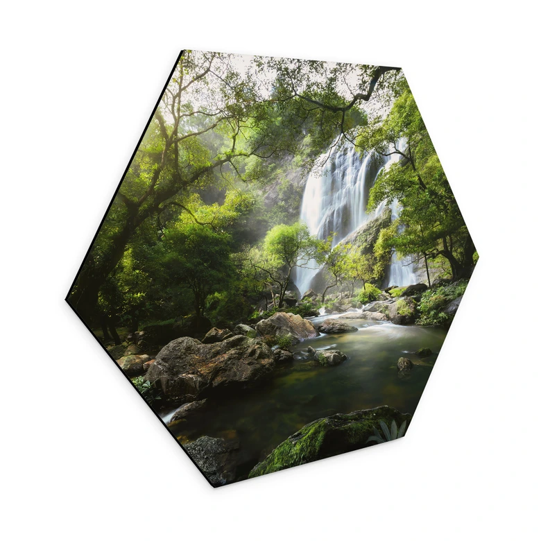 Hexagone - alu-Dibond Cascade dans la forêt 