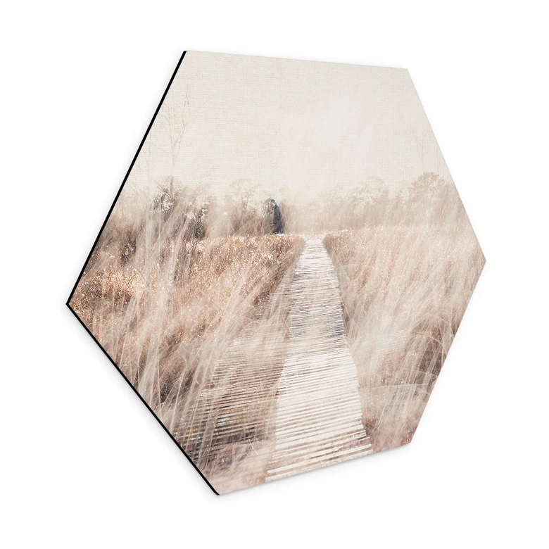 Hexagon Dibond Dromerig landschap met houten loopbrug 