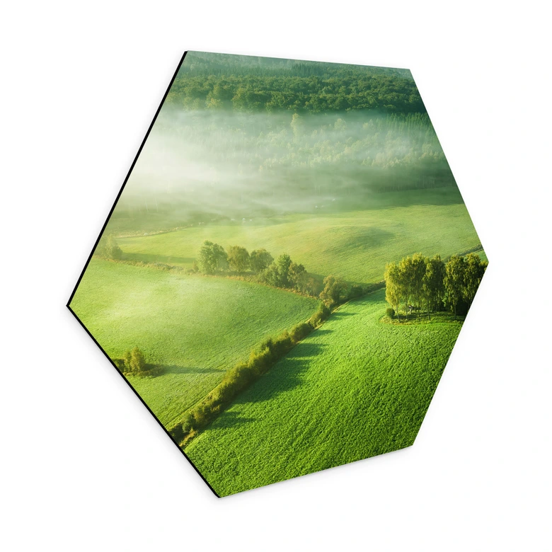 Hexagon Wandbild Idyllische Felder im Nebel - Keller - Alu-Dibond 